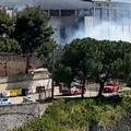 Incendio di sterpaglie nei pressi del Palazzetto di Bitonto