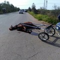 Incidente auto-calesse. Nell'impatto muore il cavallo