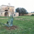 Le piante abbandonate tornano a nuova vita nel giardino della chiesa dell'Annunziata