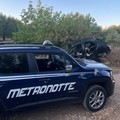 Recuperate due autovetture cannibalizzate: un business senza fine