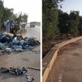 Abbandono rifiuti, pulizia straordinaria della Poligonale di Bitonto