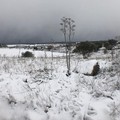 Neve e ghiaccio a Bitonto: uomini e spargisale in azione