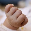 Bitontina partorisce quattro gemelli al Policlinico di Bari