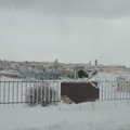  "Niente contributi per l'emergenza neve ", insorge Damascelli
