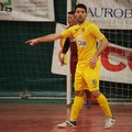 Futsal Bitonto, esperienza e qualità per mister Lodispoto: arriva Primavera