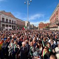 Orgoglio Olivicolo: «15 ottobre conferenza Stato-Regioni, poi pronti a manifestare a Roma»