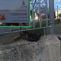 «Il Parco Sen.Masciale di Bitonto ancora abbandonato all'incuria»