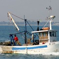 Scatta il fermo della pesca: 30 giorni di stop in Adriatico