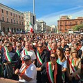 Ecco da dove arriva l'olio che sta rovinando gli olivicoltori di Bitonto - VIDEO