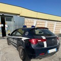 Viola la libertà vigilata a Voghera: torna in carcere un 40enne di Bitonto