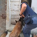 White hash, l'hashish bianco arriva a Bitonto: arrestato un 25enne