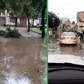 Alberi spezzati da fulmini e vento: chiusa la villa comunale di Bitonto