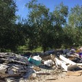 Stanziati 100mila euro per ripulire le campagne di Bitonto dai rifiuti