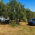 Ritrovati tre veicoli rubati tra Bitonto, Corato, Terlizzi e Ruvo di Puglia