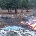 Roghi di rifiuti e cavi di rame in contrada Petrarola