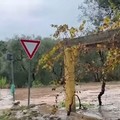 Maltempo, chiusa la sp 89 per Palombaio e Mariotto - VIDEO