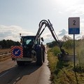 Lotta alla Xylella, proseguono gli interventi di sfalcio e le misure fitosanitarie lungo la rete stradale metropolitana