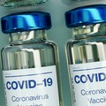 Quarte dosi, flop della campagna vaccinale tra i bitontini