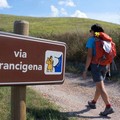 Passeggiate lungo la Via Francigena, nel bosco e in bicicletta a Bitonto per la SEMS 19
