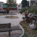 I volontari ripuliscono dai rifiuti la piazzetta del Crocifisso a Bitonto