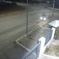 Altamura e Natilla: «Sicurezza in zona artigianale desta forti preoccupazioni»