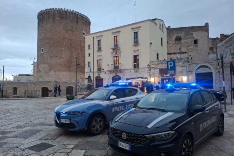 I controlli della Polizia di Stato