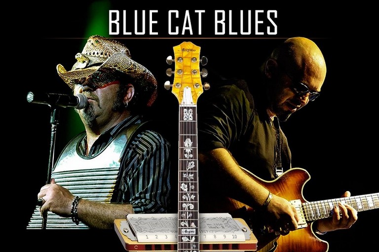 blue cat blues