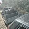 Furti di olive a Modugno: due denunciati, uno è di Bitonto