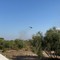 Vasto incendio in Lama Balice a Bitonto: la cronaca ed i VIDEO