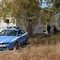 Furti di olive a Bitonto: sorpresi in tre con 1,3 quintali appena rubati