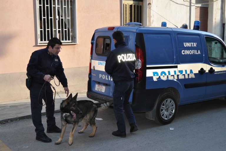 Le unità cinofile della Polizia di Stato