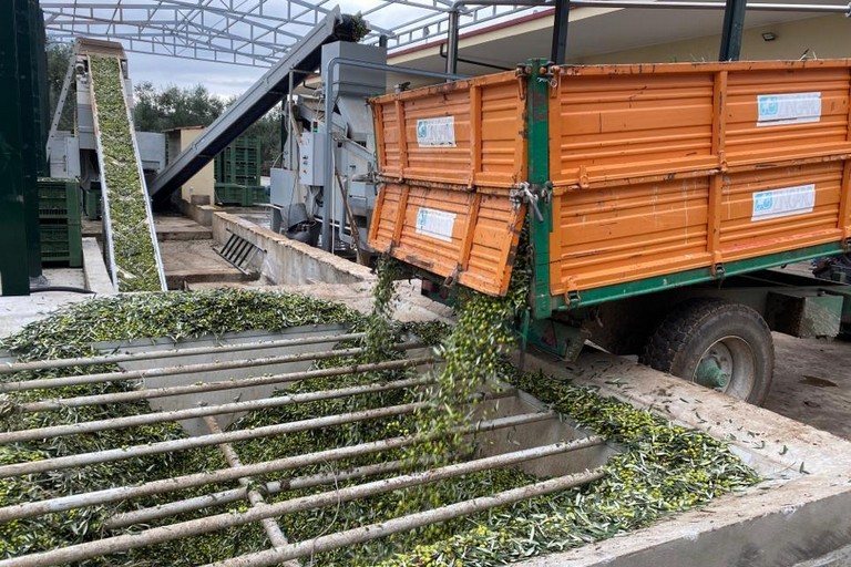 Azienda Di Martino