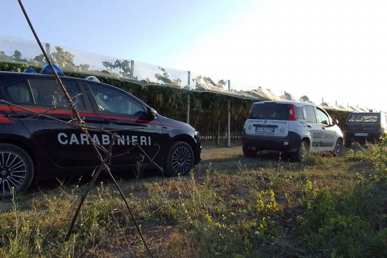 L'intervento dei Carabinieri e delle Guardie Campestri