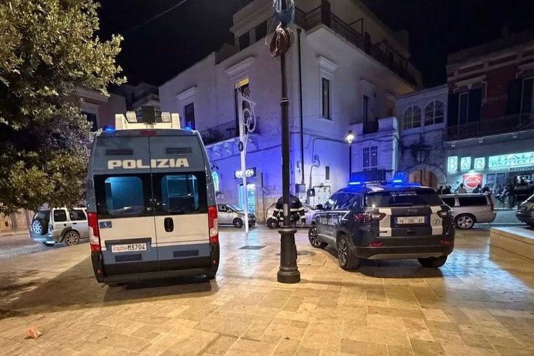 I controlli della Polizia di Stato