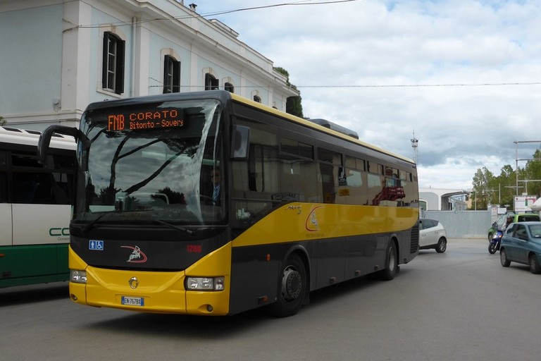 Bus Ferrotramviaria