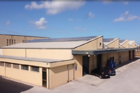 Finoliva global service