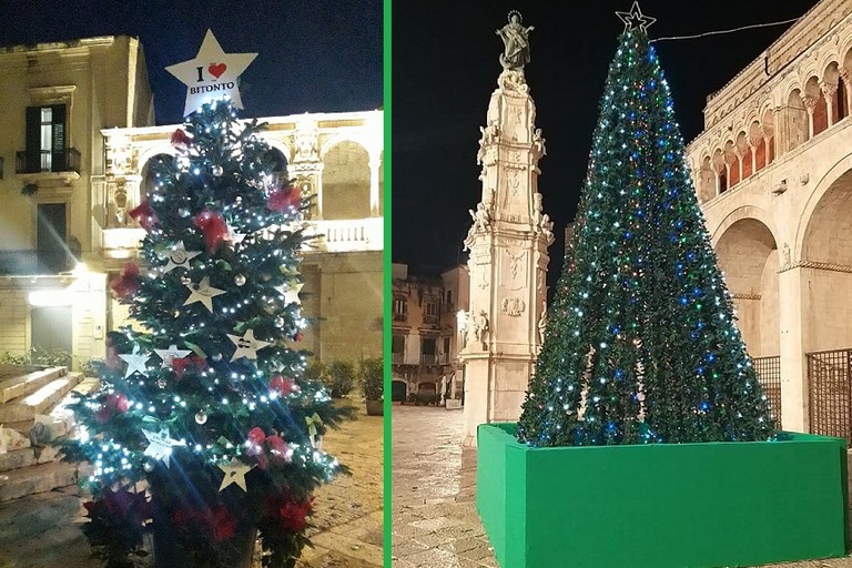 Gli alberi in piazza Cattedrale e piazza Cavour