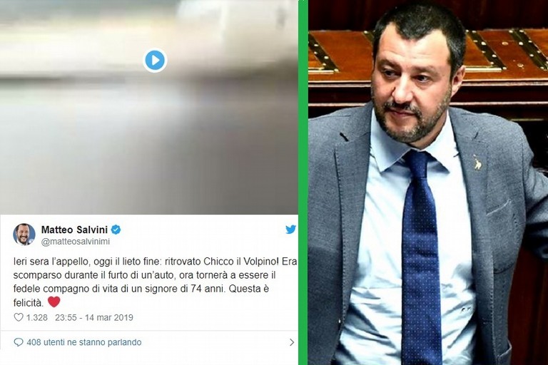 il tweet di Salvini