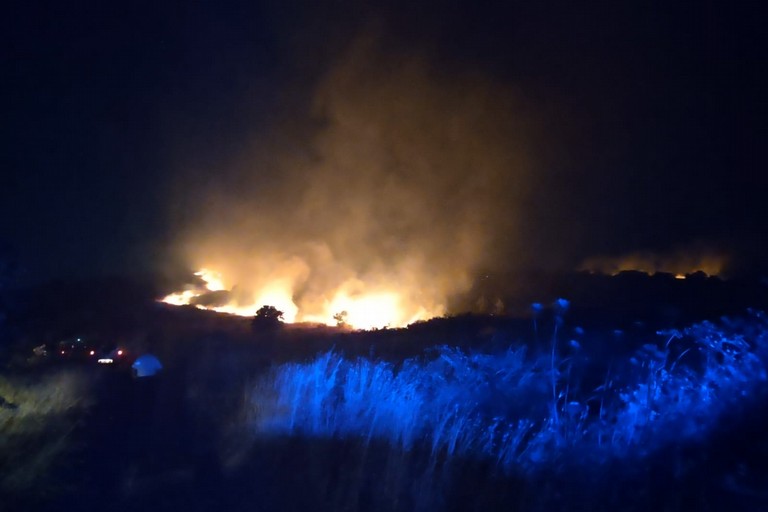 L'incendio al bosco Lama di Macina di Bitonto