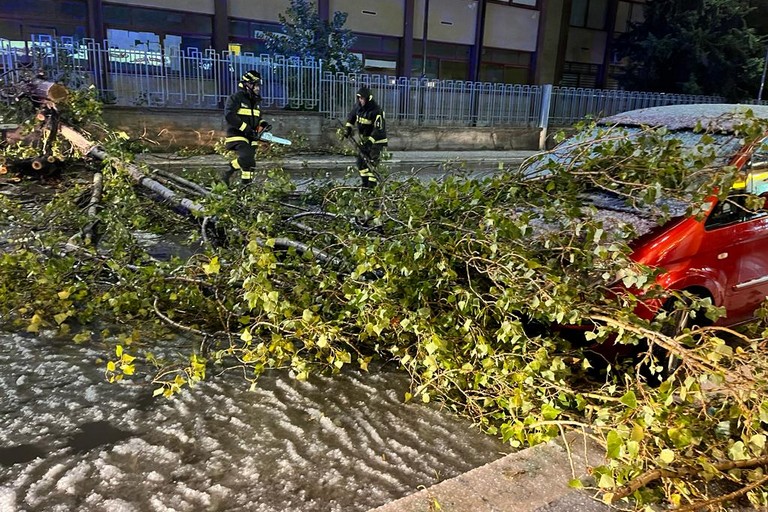 Maltempo a Bitonto, alberi si abbattono su auto in via d'Angiò