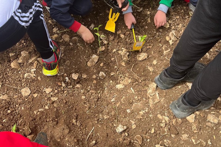 Impariamo a mangiare sano