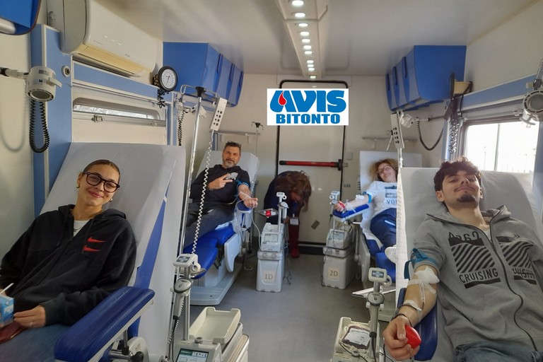Donazione sangue. <span>Foto AVIS Bitonto </span>