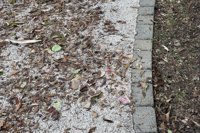 Esche topicide abbandonate