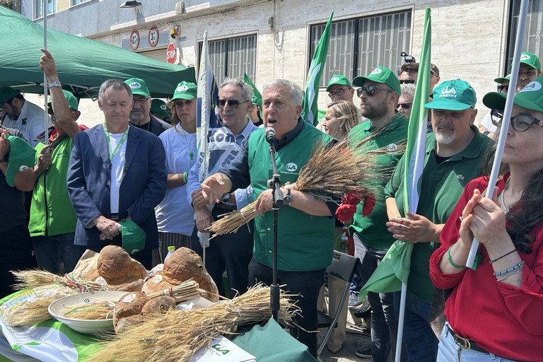 Gennaro Sicolo