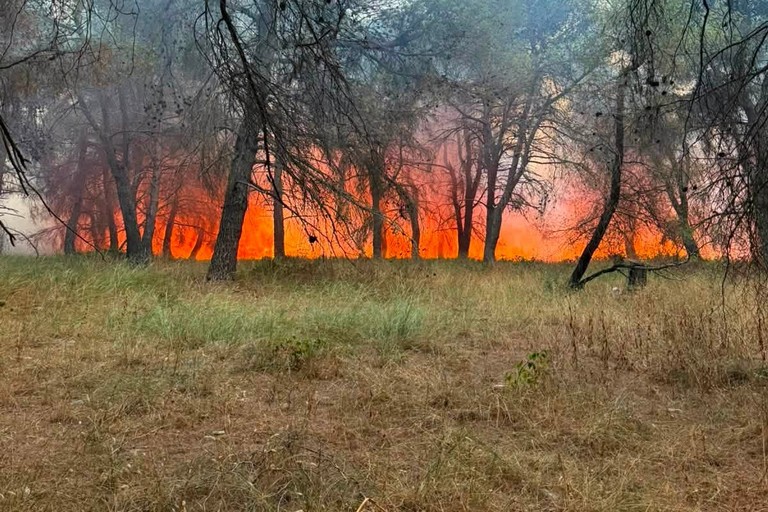 Incendio al Bosco di Bitonto