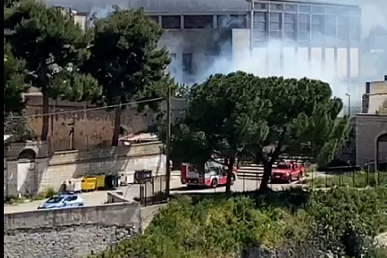 Incendio nel giardino del Palazzetto dello Sport