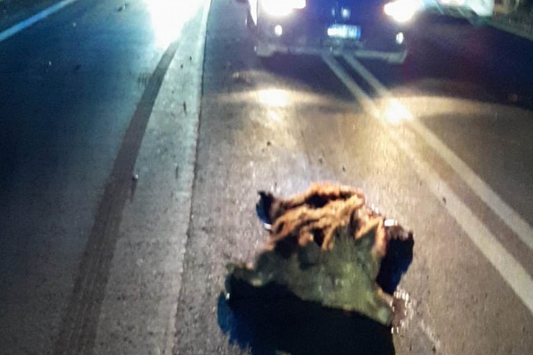 L'incidente stradale avvenuto sulla strada provinciale 88