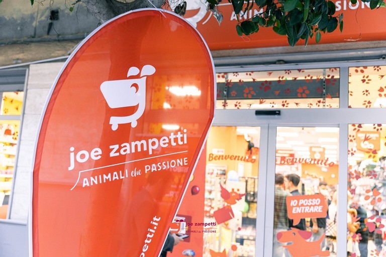 joe zampetti