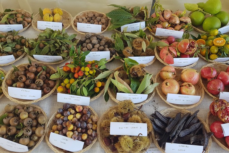 Frutta invernale Puglia. <span>Foto CIA Puglia </span>