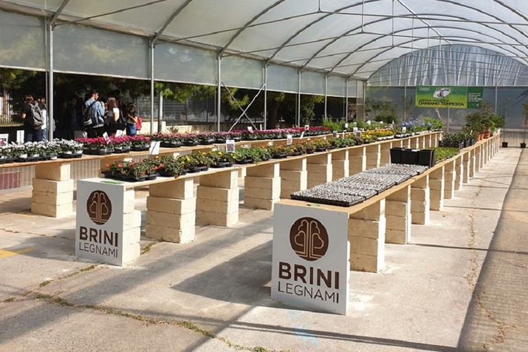 La serra inaugurata nellITES V Giordano